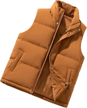 Men's Down Vest Jacket Slim Fit Stand Collar Sleeveless Puffer Jackets Casual Hiking Travel Running Waistcoat